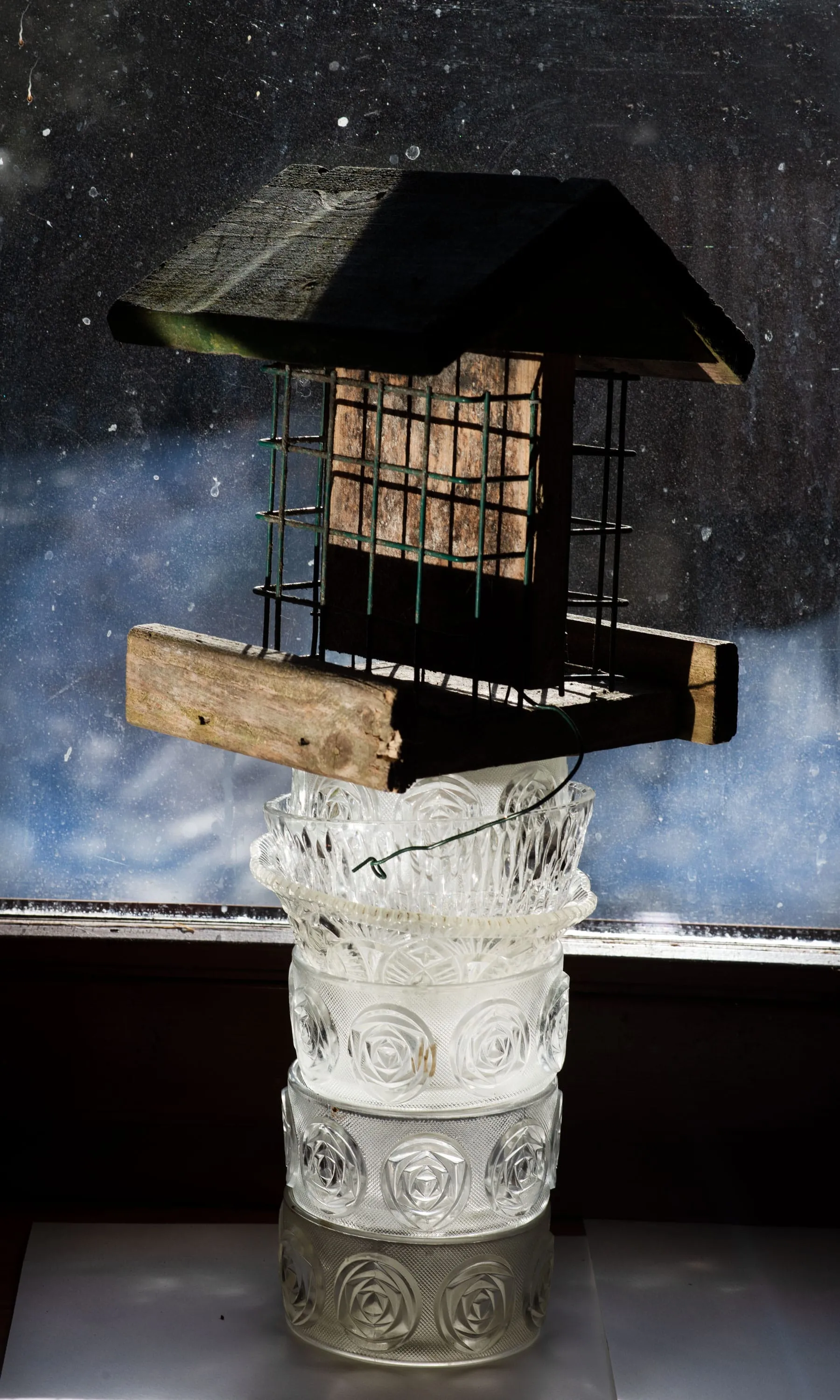 Bird 1: You will need a duvet today, even if the heating system works (5)